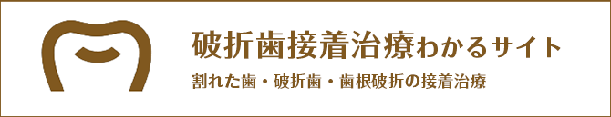 破折歯接着治療かわるサイト 割れた歯・破折歯・歯根破折の接着治療